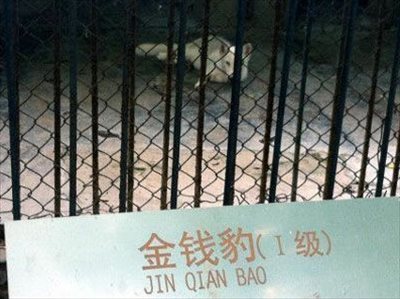 戲弄遊客的中國黑心動物園？3