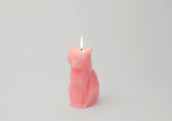 可愛寵物造型的蠟燭熔化變成驚悚骨骸！1