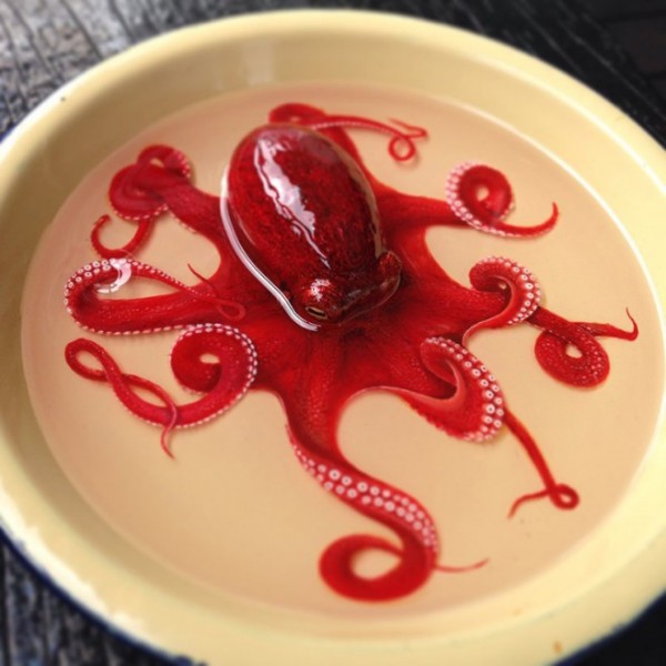 章魚活生生的被畫在盤子之中1