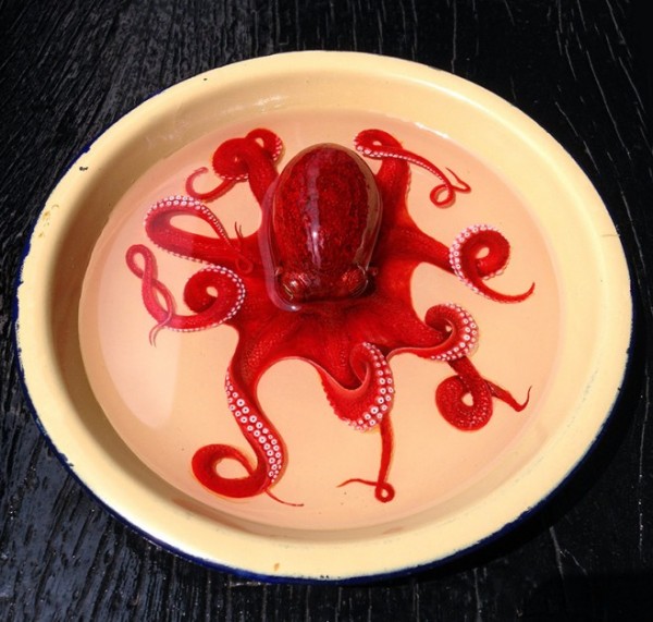 章魚活生生的被畫在盤子之中4