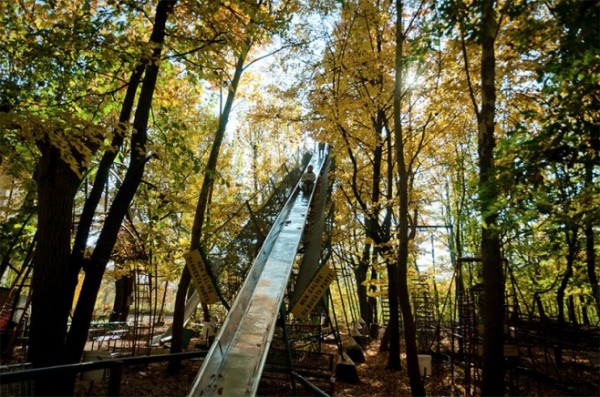 四十年打造森林裡的遊樂園3