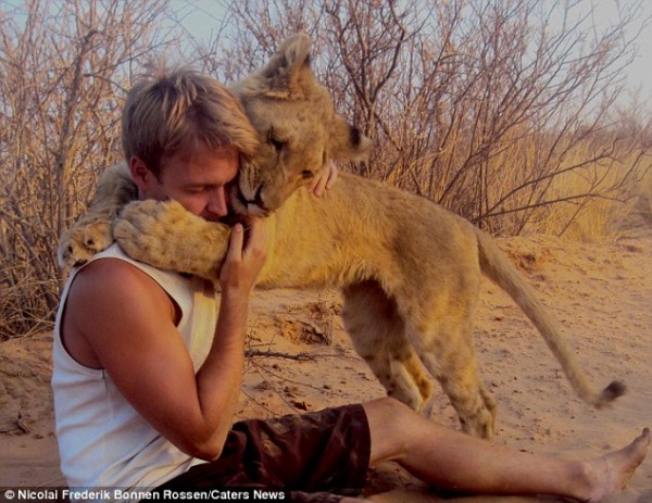 獅子跟人擁抱，擁抱動機是最美的部分...2