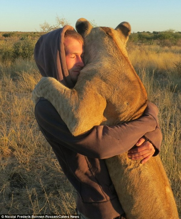 獅子跟人擁抱，擁抱動機是最美的部分...5