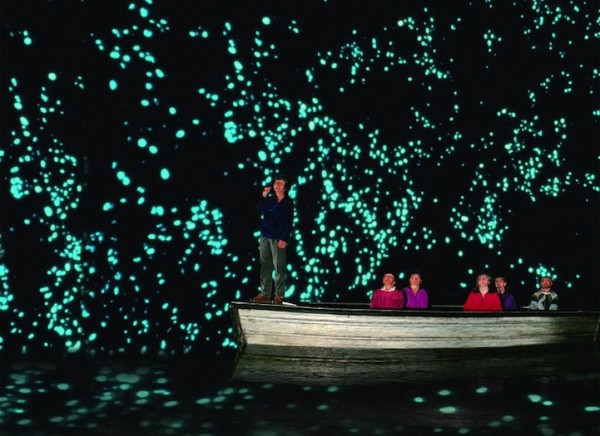 紐西蘭的螢火蟲寶寶讓整個洞穴看起來像銀河！4