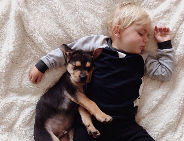 萌度超標！小孩和小狗每天一起睡午覺7