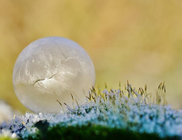 -9℃吹出的結冰泡泡是世界上短暫的美麗6