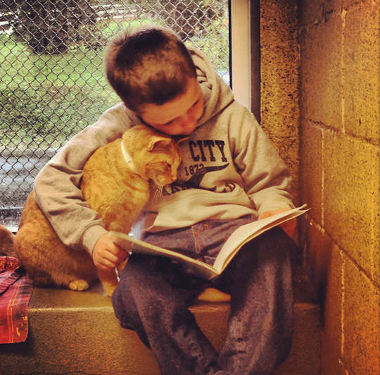讀書給貓聽的孩子1