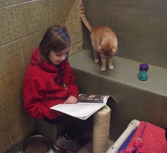 讀書給貓聽的孩子5