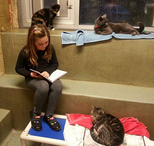 讀書給貓聽的孩子7