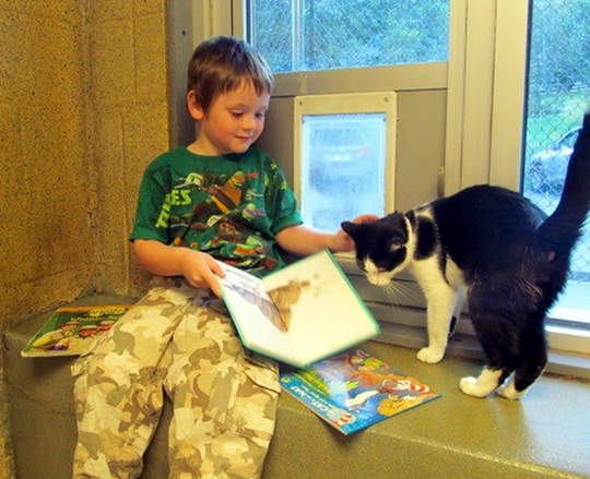 讀書給貓聽的孩子8