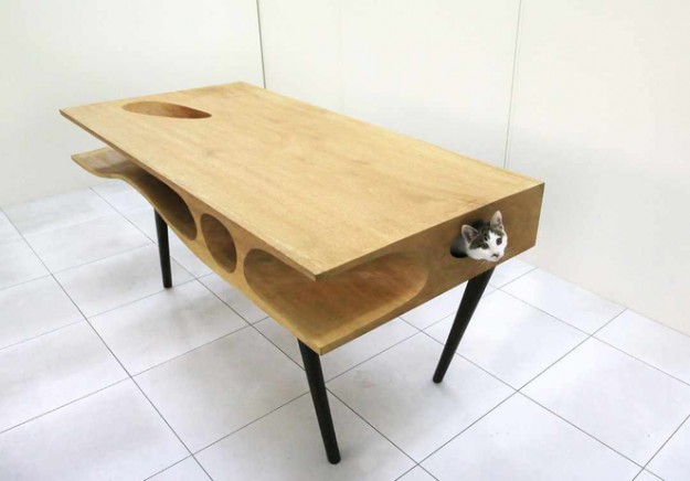 貓桌1