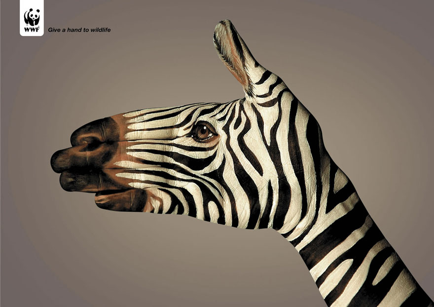 動物廣告233