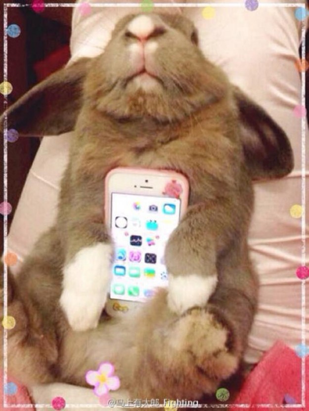 真兔手機殼8