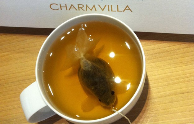 金魚茶包4
