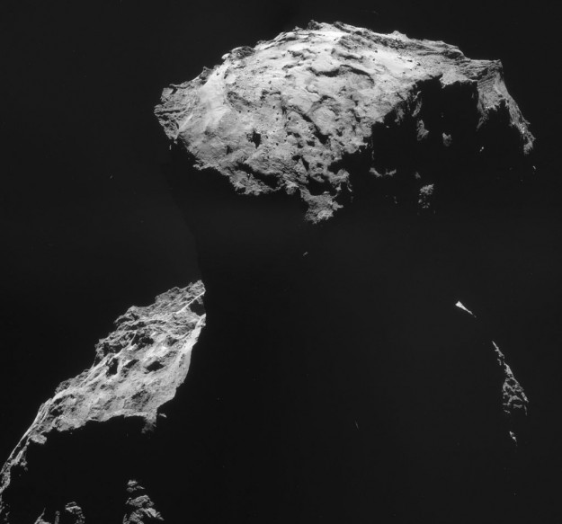 首登彗星19