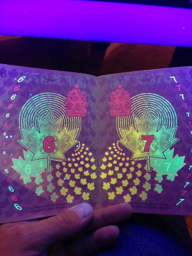 加拿大護照2