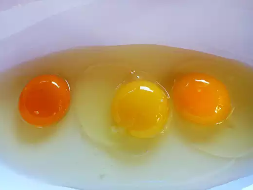 蛋黃1